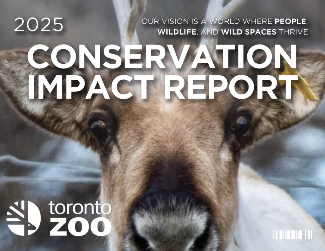 Cover of the Conservation Impact Report 2025 document